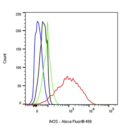 iNOS Recombinant Rabbit mAb (S-466-102)