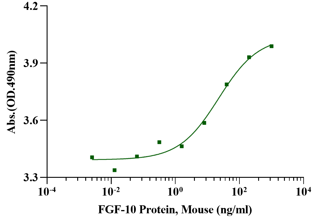 FGF-10 Protein, Mouse