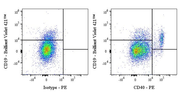 PE Mouse Anti-Human CD40 Antibody (G28.5)