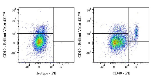 PE Mouse Anti-Human CD40 Antibody (G28.5)