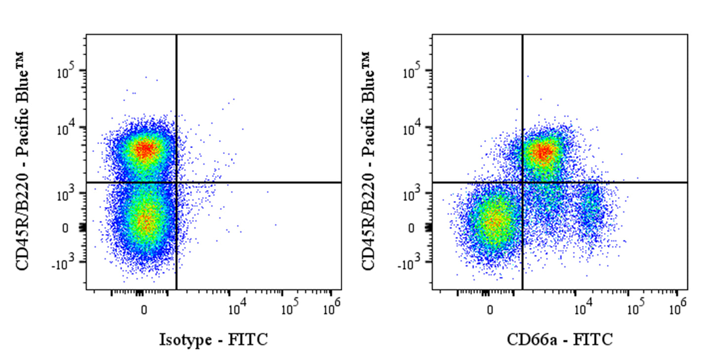 FITC Mouse Anti-Mouse CD66a Antibody (S-3301)