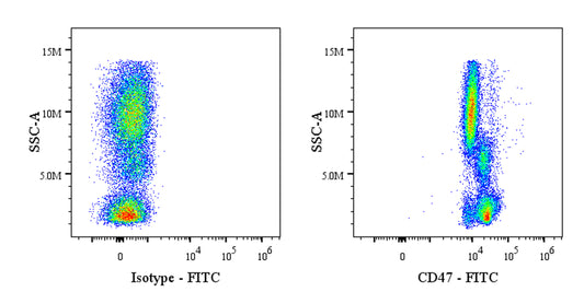 FITC Mouse Anti-Human CD47 Antibody (S-3383)