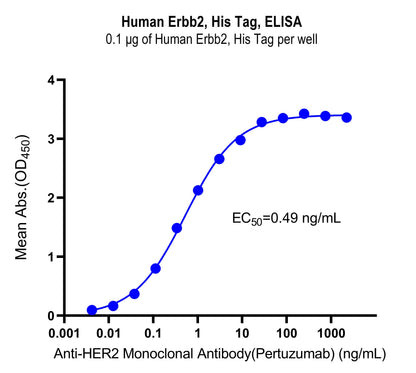 Human Erbb2, His Tag