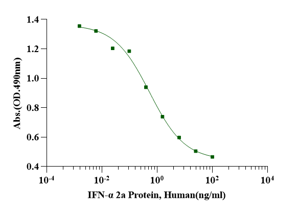 IFN-α 2a Protein, Human