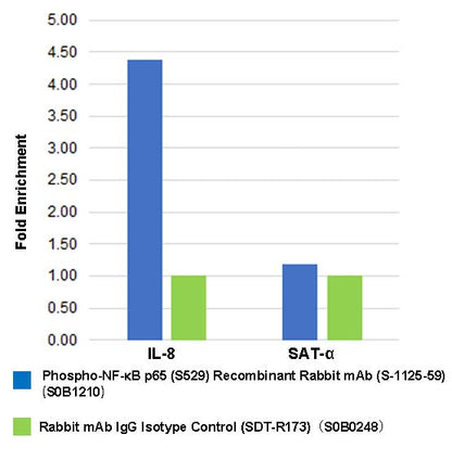 Phospho-NF-κB p65 (S529) Recombinant Rabbit mAb (S-1125-59)