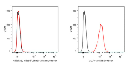 Alexa Fluor® 594 Rabbit IgG Isotype Control Antibody (S-R058)