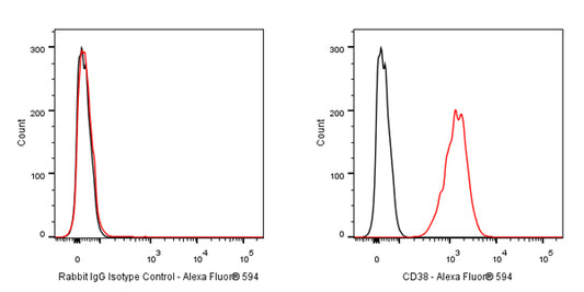 Alexa Fluor® 594 Rabbit IgG Isotype Control Antibody (S-R058)