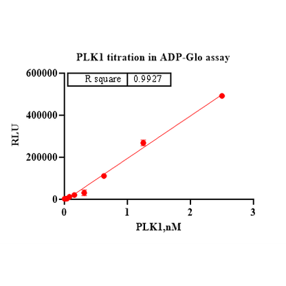 Product image media