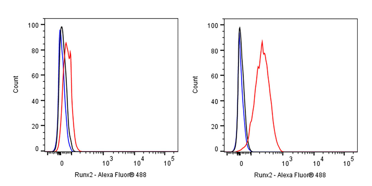 Runx2 Recombinant Rabbit mAb (S-1767-173)