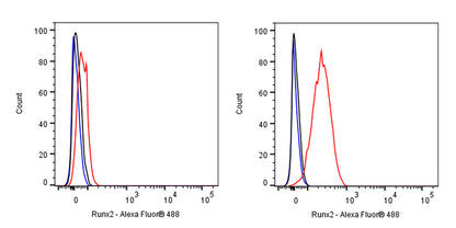 Runx2 Recombinant Rabbit mAb (S-1767-173)
