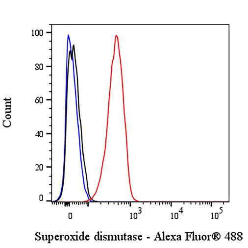 Superoxide dismutase Rabbit Polyclonal Antibody
