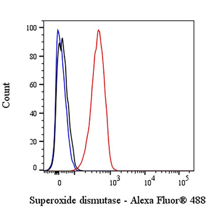 Superoxide dismutase Rabbit Polyclonal Antibody