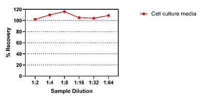 Rat IGF-1 OneStep ELISA Kit