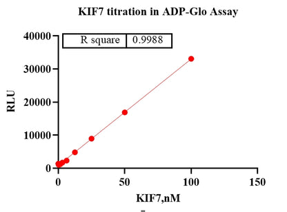 KIF7 Protein