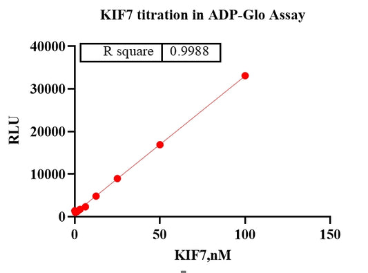 KIF7 Protein