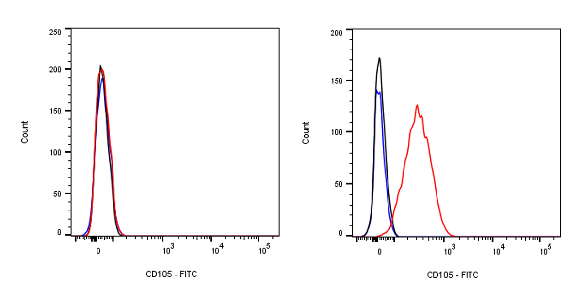 FITC Rat Anti-Mouse CD105 Antibody (MJ7/18)