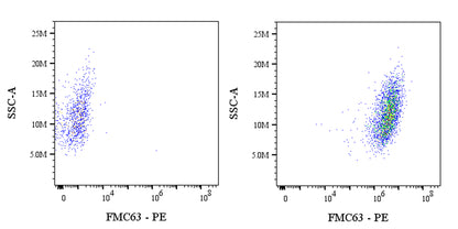 FMC63 Recombinant Mouse mAb (PE Conjugate) (S-5031)
