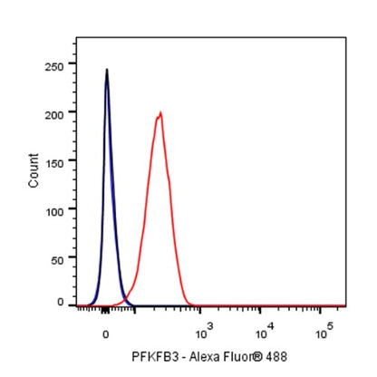 PFKFB3 Recombinant Rabbit mAb (S-653-35)