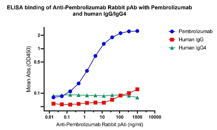 Anti-Pembrolizumab Rabbit pAb