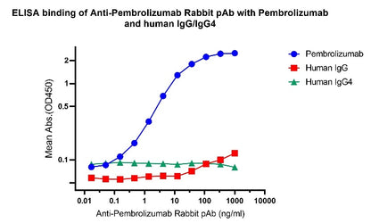 Anti-Pembrolizumab Rabbit pAb