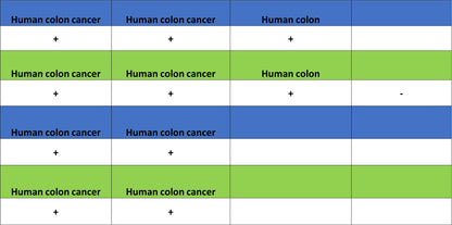 CEA Recombinant Rabbit mAb (SDT-098-41)