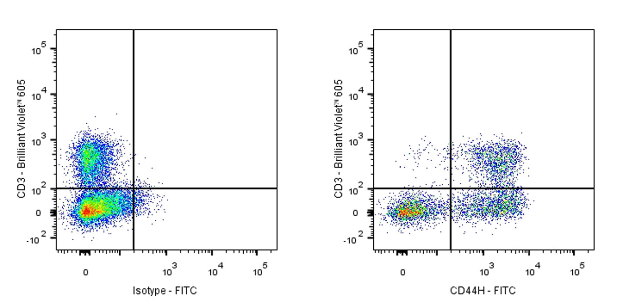 FITC Mouse Anti-Rat CD44H Antibody (OX-49)