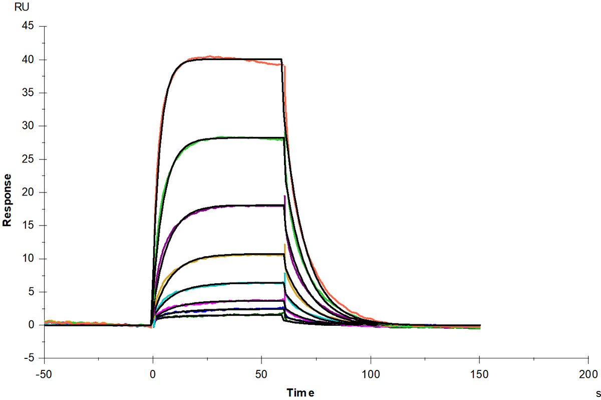 IL-3 Rα/CD123 His Tag Protein, Cynomolgus