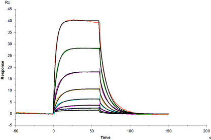 IL-3 Rα/CD123 His Tag Protein, Cynomolgus