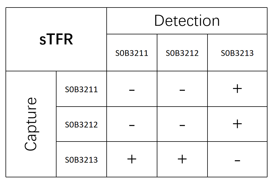 sTfR Recombinant Rabbit mAb (SDT-612-72)