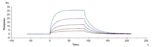 PD-1 Fc Chimera Protein, Human