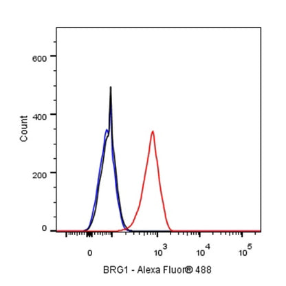 BRG1 Recombinant Rabbit mAb (S-1513-4)