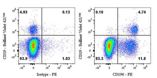 PE Mouse Anti-Human CD196 Antibody (S-R645)