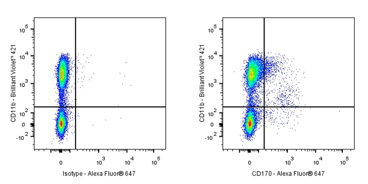 Rat Anti-Mouse CD170 Antibody (S-R691)