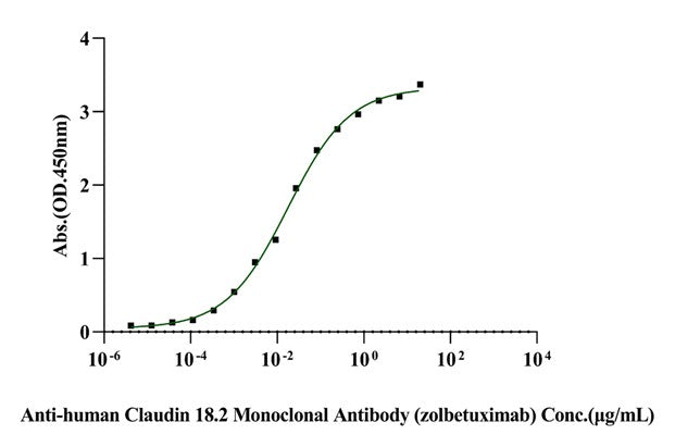 Claudin 18.2 His Tag Protein, Human