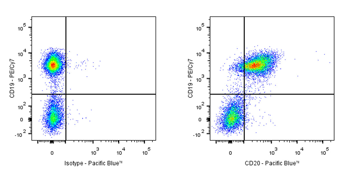 Pacific Blue Mouse Anti-Mouse CD20 Antibody (18B12)
