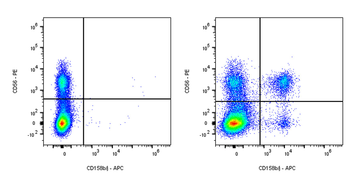 APC Mouse Anti-Human CD158b/j Antibody (S-2917)