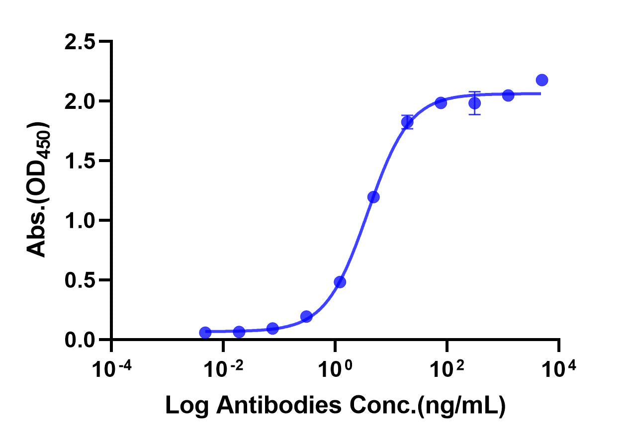 Anti-human TL1A Monoclonal Antibody (Duvakitug)