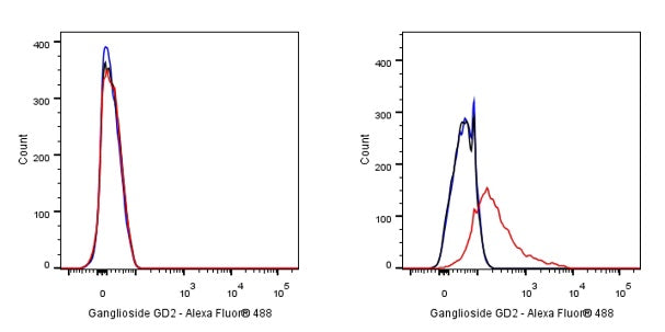 Ganglioside GD2 Recombinant Rabbit mAb (S-R505)