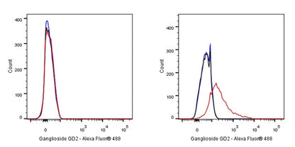 Ganglioside GD2 Recombinant Rabbit mAb (S-R505)