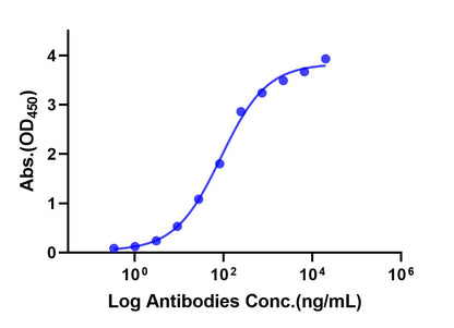 Anti-Human TROP-2 Monoclonal Antibody (Sacituzumab)