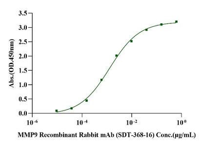 MMP-9 His Tag Protein, Cynomolgus