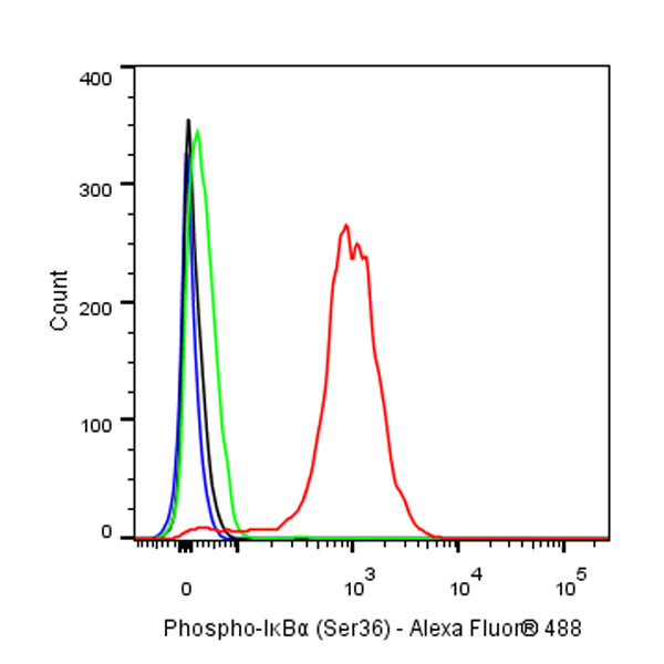 Phospho-IκBα (Ser36) Recombinant Rabbit mAb (S-R102)