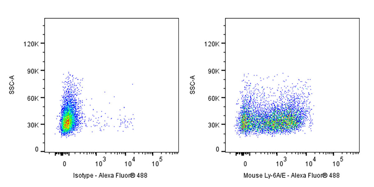 Rat Anti-Mouse Ly-6A/E Antibody (D7)