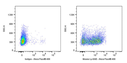 Rat Anti-Mouse Ly-6A/E Antibody (D7)