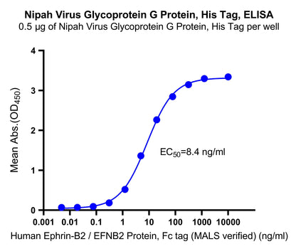 Nipah Virus Glycoprotein G Protein, His Tag
