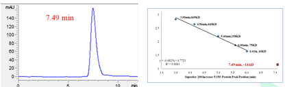 CKS2 Protein, Human