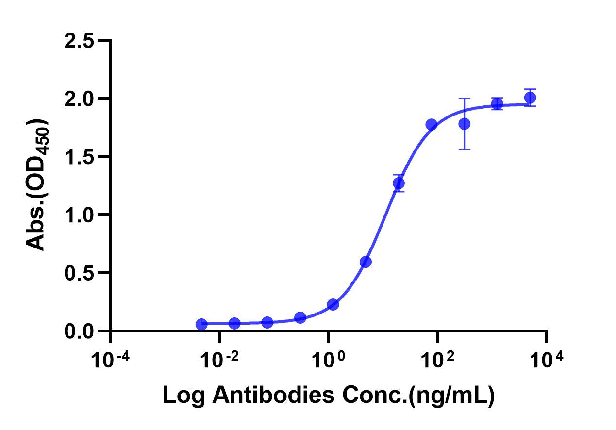 Anti-Human Nectin-4 Monoclonal Antibody (Enfortumab)