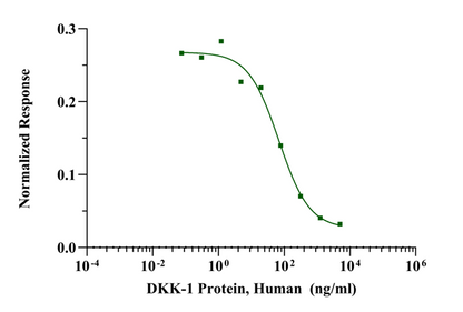 DKK-1 Protein, Human