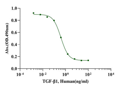 TGF-β1 Protein, Human