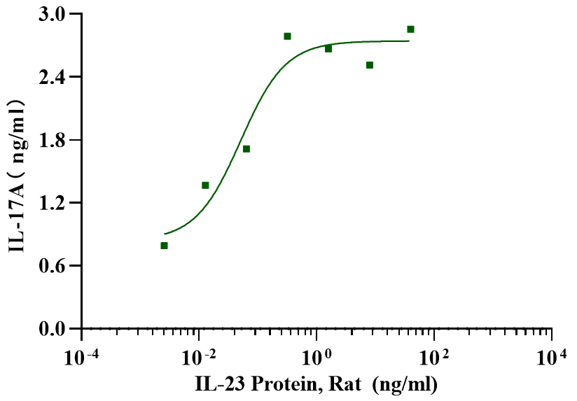 IL-23 Protein, Rat